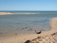 and watch the tide coming in